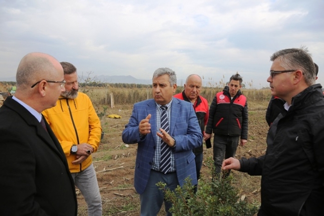 Ayvalık 100 yıl sonra yeniden sakız ağacı yetiştirecek