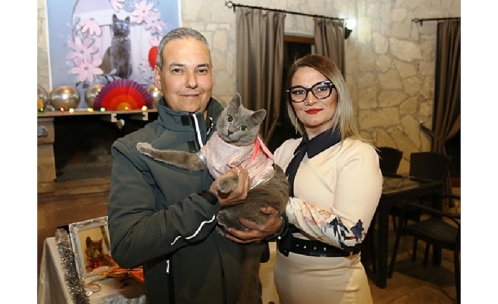 Ayvalık’ta şanslı kedinin Gümüş’e 5. doğum günü partisi