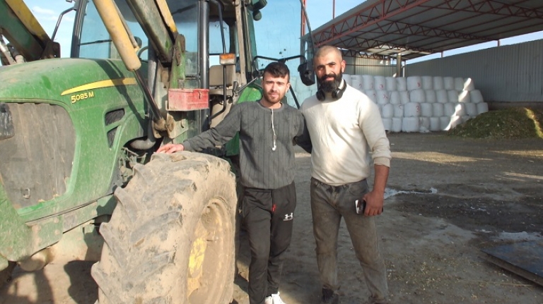 Yemin zamlanması mısır silajına olan ilgiyi artırdı