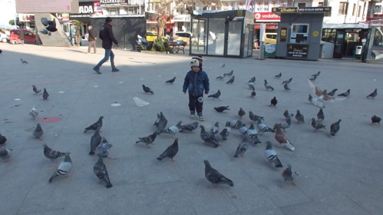 Burhaniye’de Çocuklar Güvercinleri Besliyor