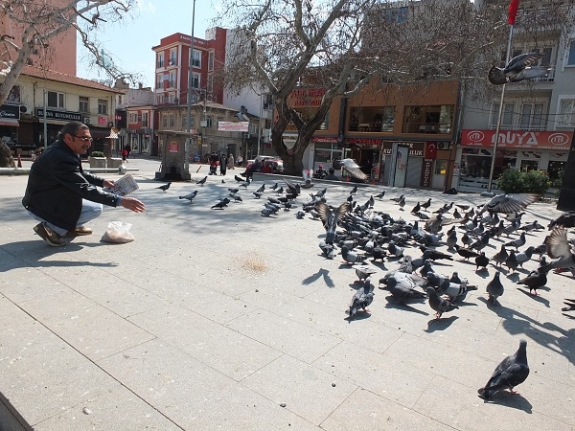 Burhaniye’de güvercin besleyenlerin sayısı arttı