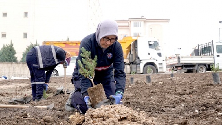 Karesi Yeşilleniyor