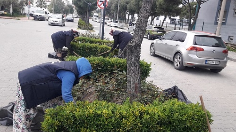 Burhaniye’de Yabani Ot Temizliği Çalışmaları Başladı