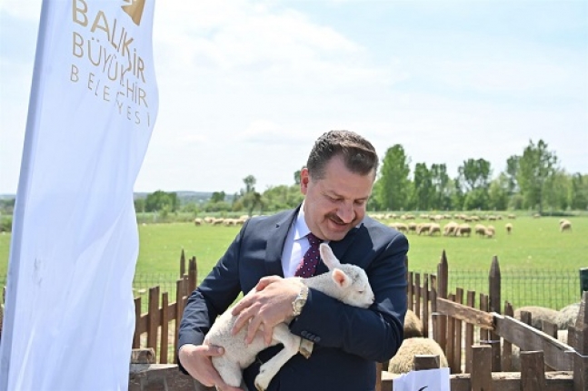 Balıkesir Hayvancılığın En İyisi Olma Yolunda