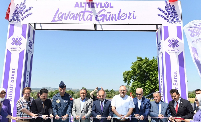 Altıeylül Lavanta Günleri Başladı