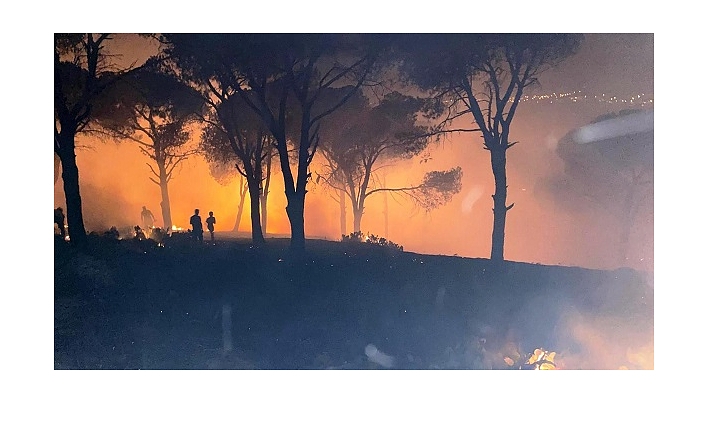 Ayvalık'ta ağaçlık alanda çıkan yangın güçlükle kontrol altına alındı