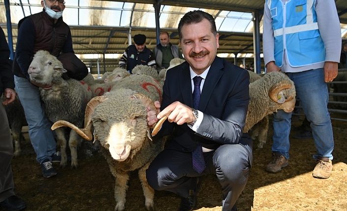 Büyükşehir, Bigadiç’in yanında