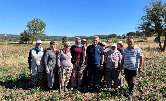 Milletvekili Canbey, biber fidesini dikime hazırlayan üreticileri ziyaret etti