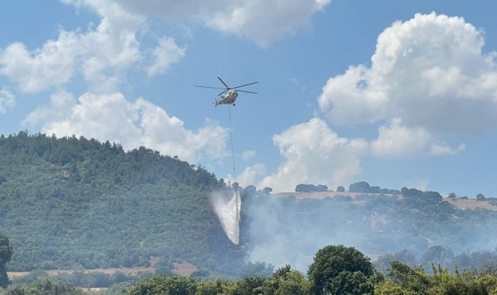 Balıkesir'de orman yangını