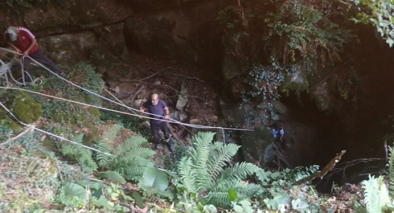 Manyas'ta 40 metre derinliğindeki mağaraya dana düştü