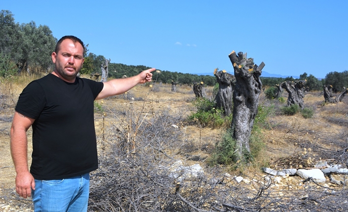 Muhtar ve halk adeta isyan ediyor katliam devam ediyor 