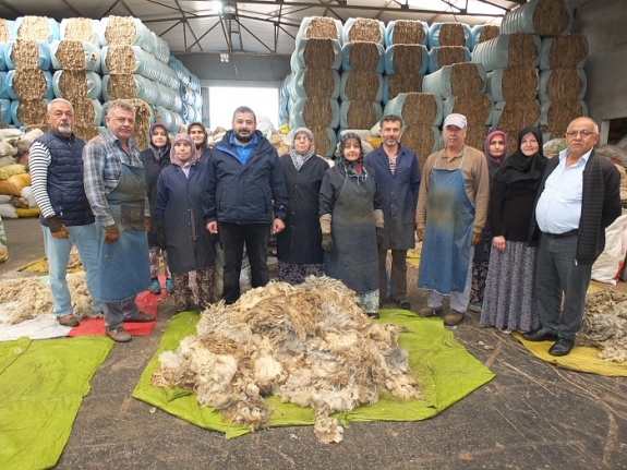 Balıkesir’in Kuzusu Marka Olurken Koyununun Yünü 'de Döviz Oldu