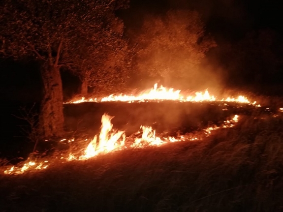  Havranın Çamdibi Mahallesi'nde çıkan yangın