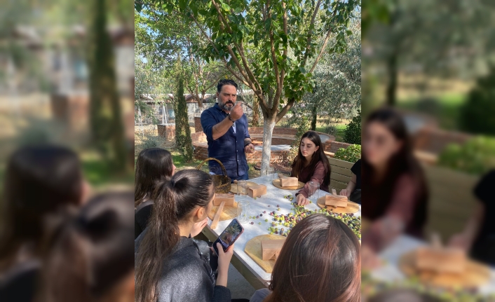 BUBFA Gastronomi Öğrencileri Zeytin Üretim Aşamalarını Yerinde Öğreniyor