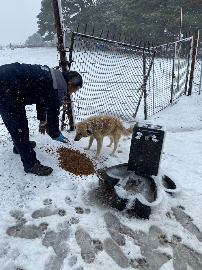 Büyükşehir’in şefkatli ve şifalı elleri canların yanında