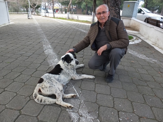 Bu köpek sahibini hiç yalnız bırakmıyor