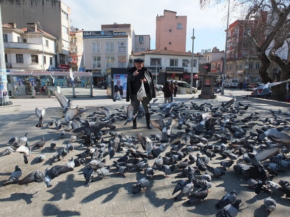 Burhaniye’de bu güvercinler çok şanslı