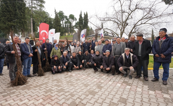 Büyükşehir’den üreticilere meyve fidanı desteği