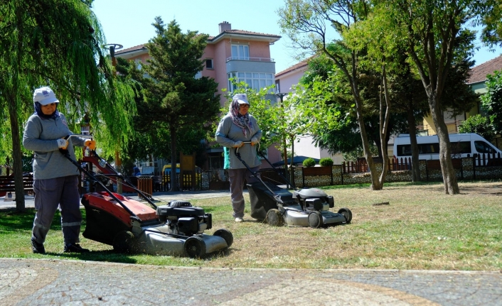 Altıeylül'de parklara bahar bakımı