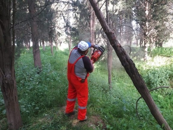 Büyükşehir mezarlıklarda bakım ve temizlik çalışmaları başlattı