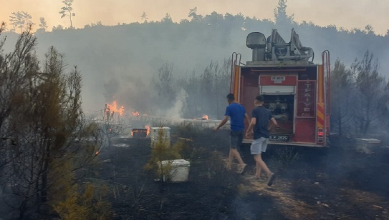 İvrindi'de İtfaiyecilerin yangında arılarla zor anları