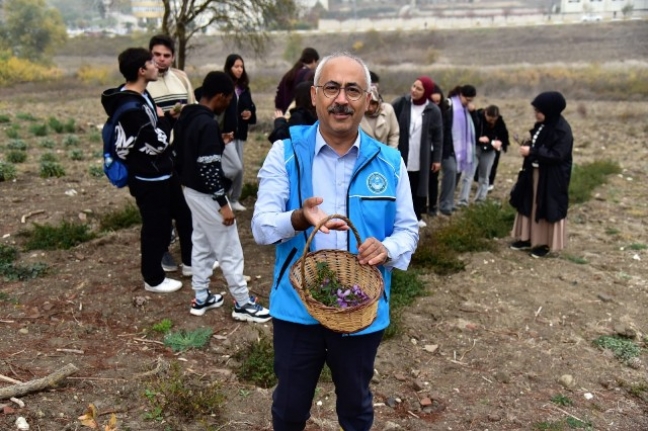 BAÜN Botanik Bahçesinde İlk Safran Hasadı: Öğrencilerle Birlikte Tarihi An