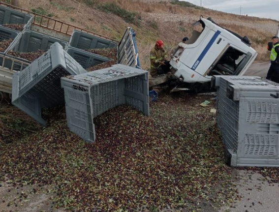Bandırma'da zeytin yüklü kamyonet devrildi, zeytinler yola dağıldı