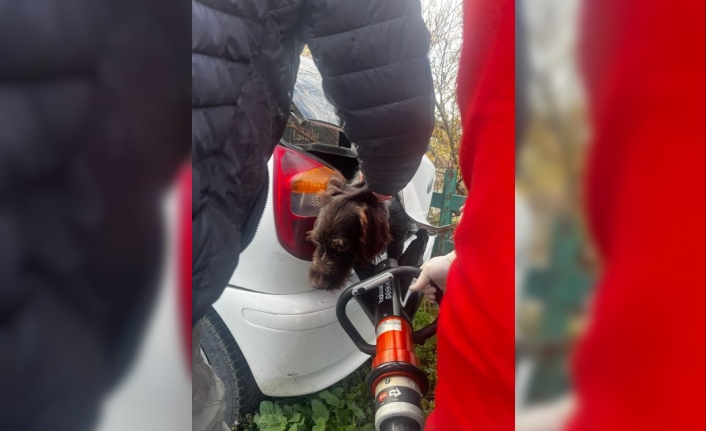 Balıkesir Karesi’de kaza: Sıkışan 2 kişi ve bir köpeği itfaiye kurtardı