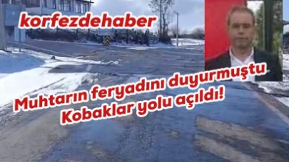 Havran'da muhtarın feryadını yetkililer duydu!