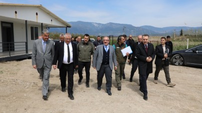 Edremit'te sokak hayvanları için rehabilitasyon merkezi açılıyor