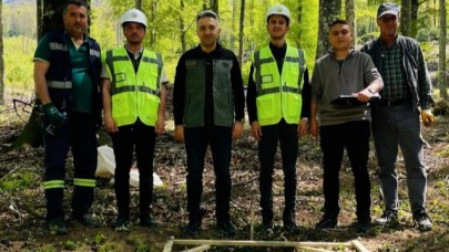 Bandırma'da gençleştirme çalışmaları tüm hızıyla sürüyor