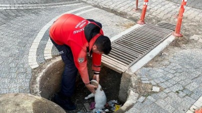 Mazgal altına kaçan yavru köpeği itfaiye ekipleri kurtardı