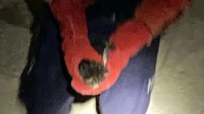 Gömeç’te itfaiyeden tam teçhizatlı kedi kurtarma operasyonu