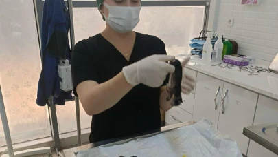 Balıkesir'de Büyükşehir, hamile kediyi kurtarmak için seferber oldu