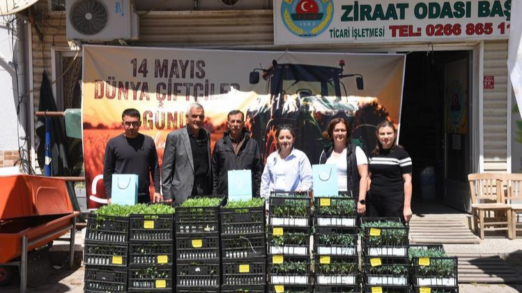 Büyükşehir’den çiftçiye fide desteği ilgi gördü