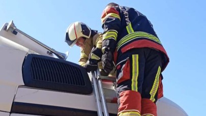 Edremit’te Tırda Yılan Operasyonu
