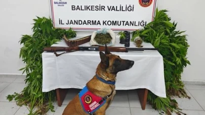 Balıkesir'de jandarmadan 4 ilçede operasyon