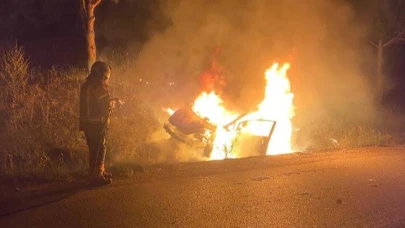 İvrindi’de araç yangını ormanı yakmadan söndürüldü