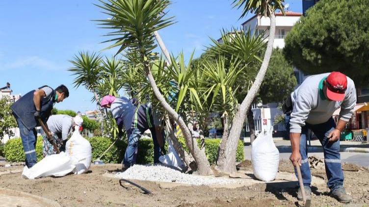 Burhaniye'de Yaz Sezonu Çalışmaları Devam Ediyor