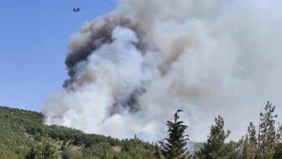 Balıkesir Kepsut Sarıfakılar'da da orman yangını çıktı