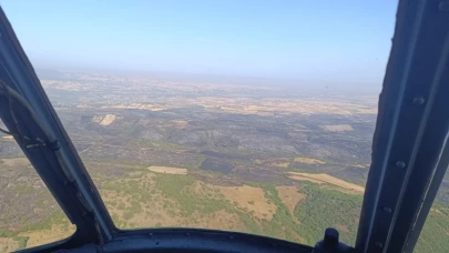Balıkesir Ayvalık'ta zeytinlik alanda yangın çıktı
