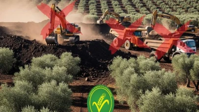 Burak Uğur,"Zeytin Ağaçlarımız Kurban Edilemez!”