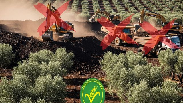 Burak Uğur, "Zeytin Ağaçlarımız Kurban Edilemez!”