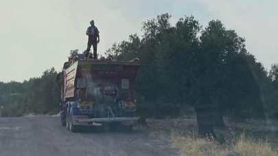 Ayvalık’ta Zeytinlik Alanda Çıkan Yangın Kontrol Altına Alındı