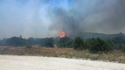 Balıkesir İvrindi’de orman yangını çıktı, kontrol altına alındı