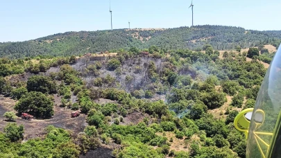 Kepsut'ta orman yangını