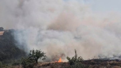 Susurluk'ta arazi yangını kontrol altına alındı