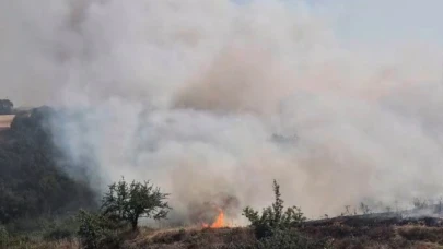 Susurluk'ta arazi yangını kontrol altına alındı