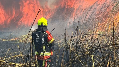 Edremit Altınkum'da sazlık yangını söndürüldü