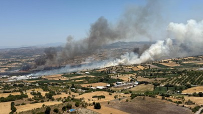 Altıeylül Pamukçu'da arazi yangını çıktı